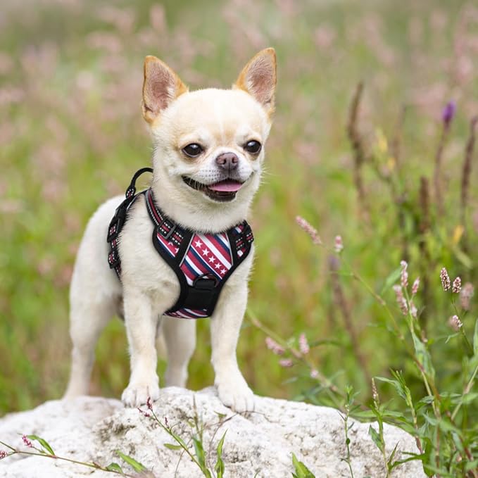 rabbitgoo Dog Harness, No Pull for Small Dogs with 2 Leash Clips, Pet Vest | No Choke with Handle, Adjustable Soft Padded, Reflective, Easy Control for Walking, Red Stripe, X-Small