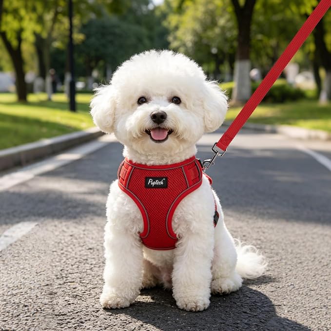 PUPTECK Dog Harness and Leash Set, No Pull Adjustable Pet Small Dog Harness, Reflective Soft Mesh Pet Vest, for Small Medium Dogs Walking, Red, XS