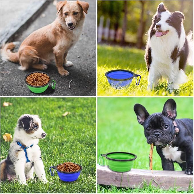 Dog Bowl Collapsible, 2 Pack, with Carabiners, Small, Blue+Green