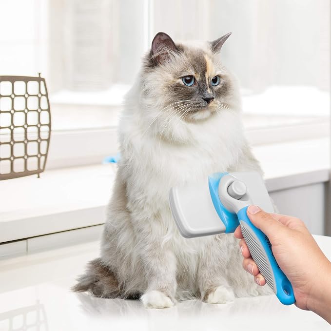 Freshly Bailey Deshedding Tool for Short Hair