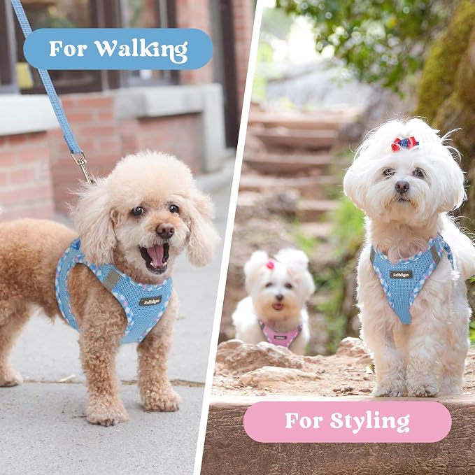 rabbitgoo Step-in Small Dog Harness, Puppy Vest for Small Sized Pet | Easy Put on and off, Lightweight, Soft, Breathable Quick-Dry Air Mesh for Comfortable Secure Walking, Blue & Plaid Trim M