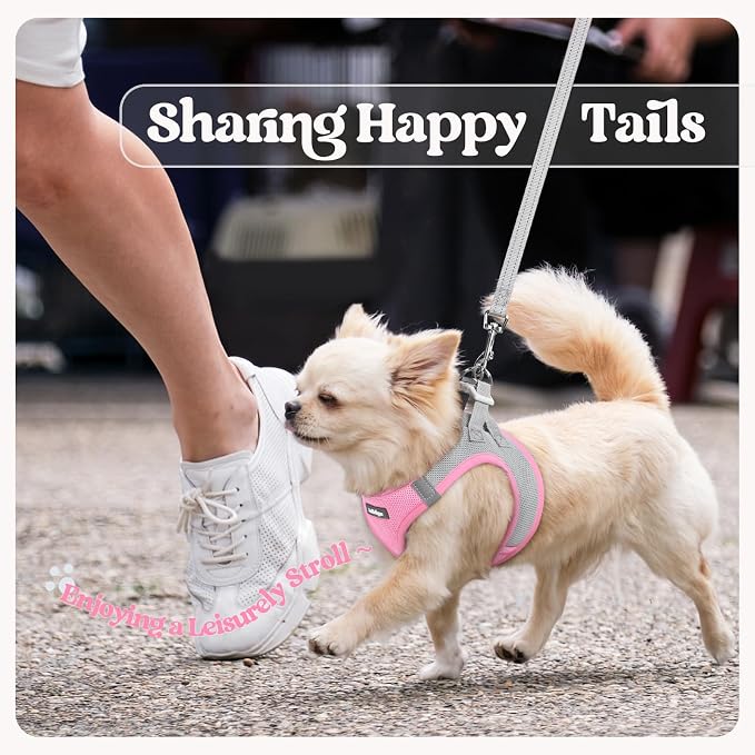 rabbitgoo Dog Harness Medium Sized and Leash Set, Step-in Puppy Pet Vest | Light, Soft, Breathable Air Mesh, Easy on and Remove with Hook & Loop, Secure Reflective for Walking, Light Pink & Gray L