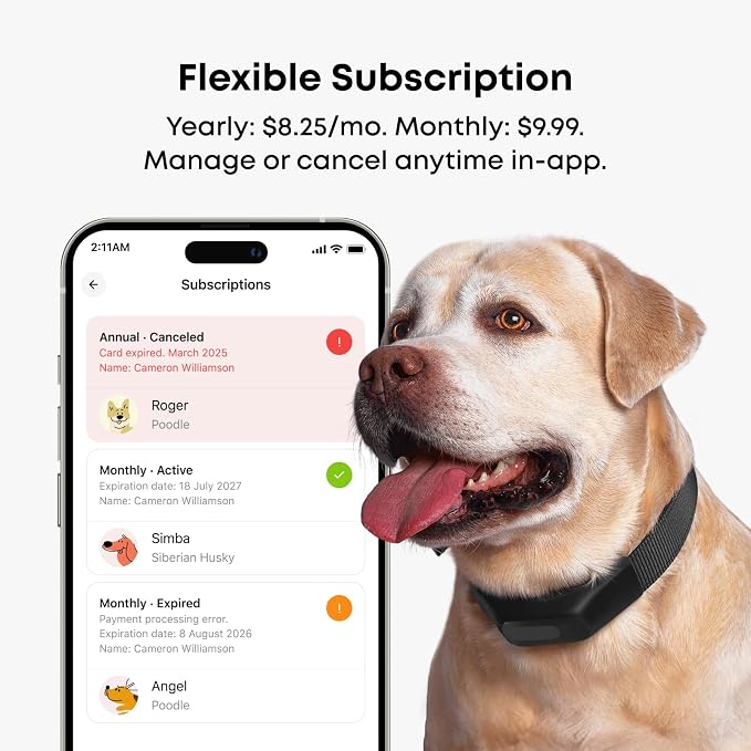 Averia Collar - Reliable GPS and Activity Tracker for Dogs