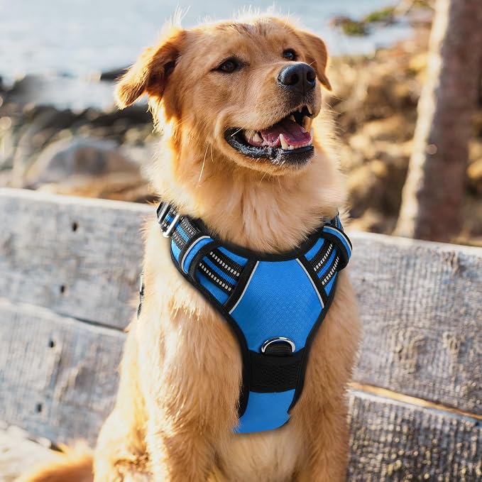 rabbitgoo Dog Harness for Large, No Pull 3 Buckles Easy On & Off | Soft Padded, Walking with Control Handle, Adjustable and Reflective, Blue, X-Large