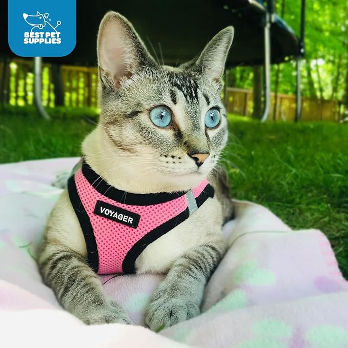 Voyager Step-in Air Dog Vest Harness - Pink/Black Trim, X-Small | 13 - 14.5" in Chest, Reflective Bands, All Weather Breathable Air Mesh, Cats Compatible, Lightweight, Fast Drying