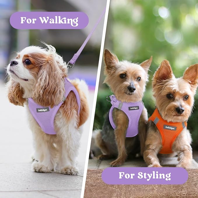 rabbitgoo Step-in Small Dog Harness, Puppy Vest for Small Sized Pet | Easy Put on and off, Lightweight, Soft, Breathable Quick-Dry Air Mesh for Comfortable Secure Walking, Light Purple XXXS