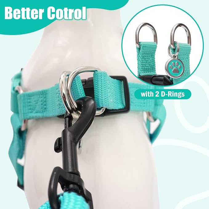 PUPTECK No Pull Dog Harness Small Sized Step-in Adjustable Puppy Vest | Soft Webbing Basic Halter with ID Tag for Outdoor Walking