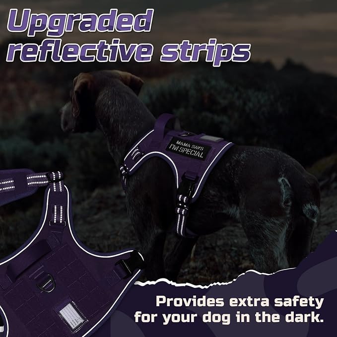 rabbitgoo Tactical Dog Harness for Medium, No Pull Military Service Vest | Molle & Handle, Heavy Duty, Adjustable, Reflective Straps, Easy Control for Training Walking, Purple, Medium