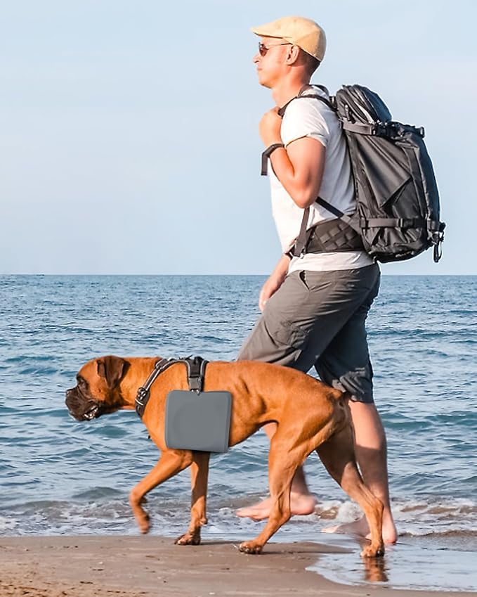 Collapsible Portable 2-in-1 Dog Bowl with Carabiner, Grey