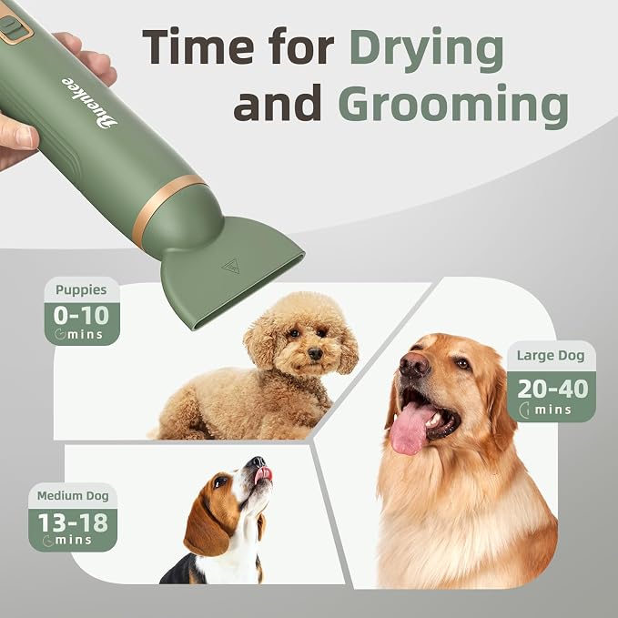 buenkee Dog Blow Dryer for Pet Grooming Handheld Lightweight Dog Cat Hair Dryer 3 Speeds 4 Temp, Portable 3HP High Velocity Pet Blower Quiet Dryer for Travel Campaign Home, with 3 Nozzles, Green