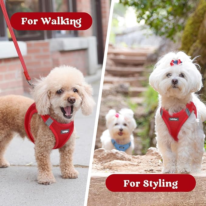 rabbitgoo Step-in Small Dog Harness, Puppy Vest for Small Sized Pet | Easy Put on and off, Lightweight, Soft, Breathable Quick-Dry Air Mesh for Comfortable Secure Walking, Red M