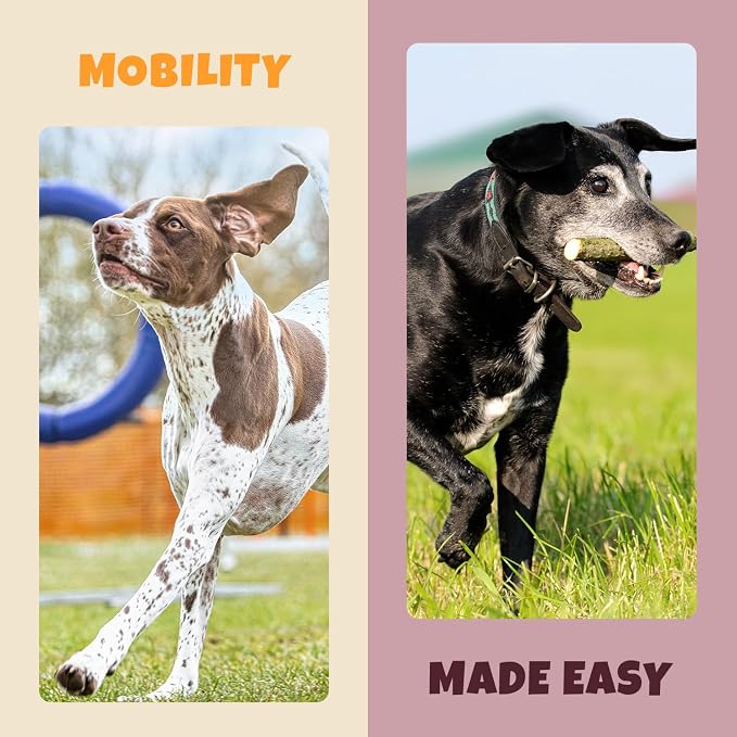 PETIPET Turmeric + Curcumin - Natural, Human-Grade Allergy Relief Soft & Chewy Chews, Hip and Joint Supplement, and Anti-Inflammatory for Dogs