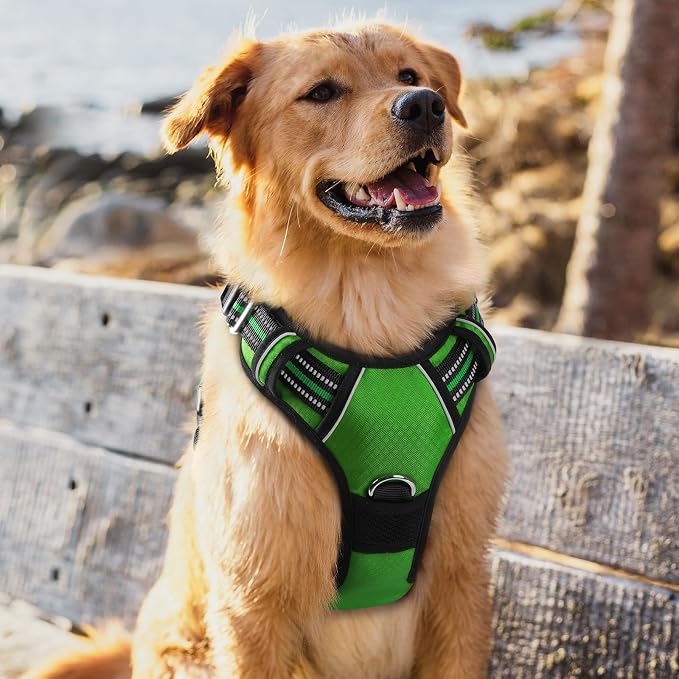 rabbitgoo Dog Harness for Large, No Pull 3 Buckles Easy On & Off | Soft Padded, Walking with Control Handle, Adjustable and Reflective, Green, X-Large