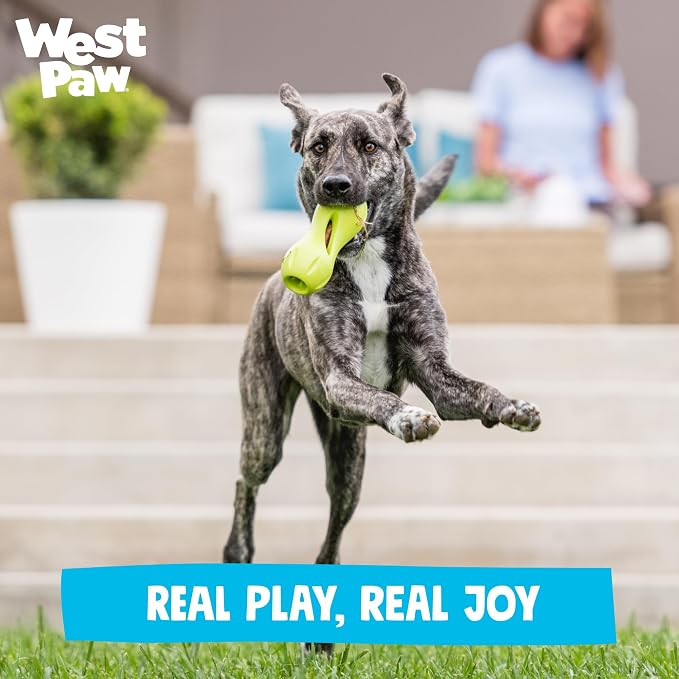 West Paw Qwizl Durable Zogoflex Dog Puzzle Toy for Mental Stimulation, and Enrichment - Treat Dispensing for Bully Sticks and Dental Sticks - Dishwasher Safe - Made in USA - Small - Aqua