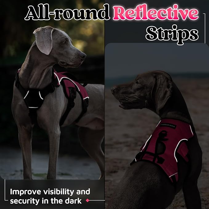 rabbitgoo Escape Proof Dog Harness for Large, No Pull with Lift Handle | No Escape, Full Soft Padded, Reflective Adjustable Vest, Leash Clip for Walking Hiking Training, Peach Pink, Large