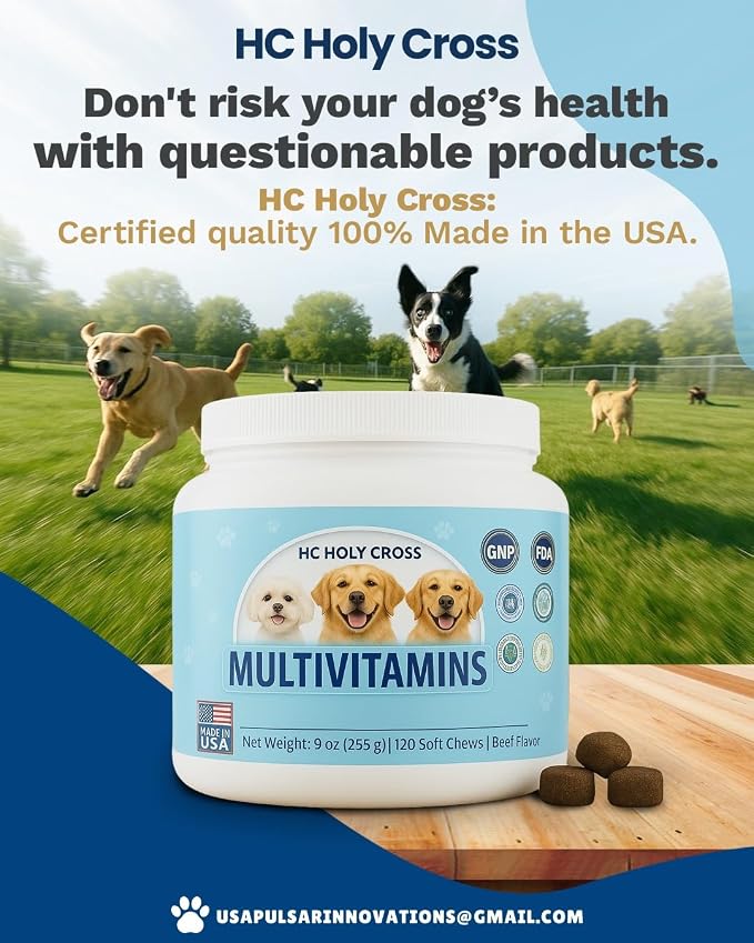 24-in-1 Dog Multivitamin Soft Chews for Dogs - Hip and Joint Supplement with Glucosamine, Chondroitin, Probiotics & Omega 3 - Immune Support, Skin & Coat Health - 120 Count - Beef Flavor