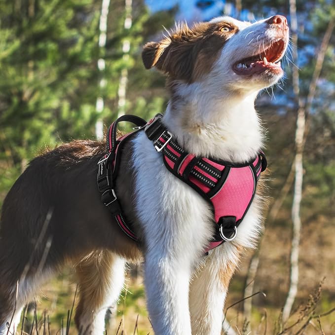 rabbitgoo Dog Harness Medium Sized, No Pull 3 Buckles Easy On & Off | Soft Padded, Walking with Control Handle, Adjustable and Reflective, Pink, Medium
