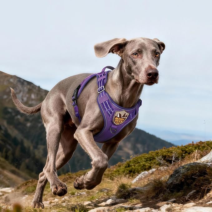 rabbitgoo Tactical Dog Harness for Large Dogs, No Pull Service Pet Vest | Military Molle System & Easy Control Handle, Adjustable and Reflective for Walking and Training, Purple, Large