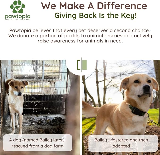 Pawtria Certified Home Compostable Dog Poop Bags (120), Poop Bags for Dogs, Cat Litter, Vegetable Starches, Dog Waste Bags, Leakproof, Easy to Open, Give Back