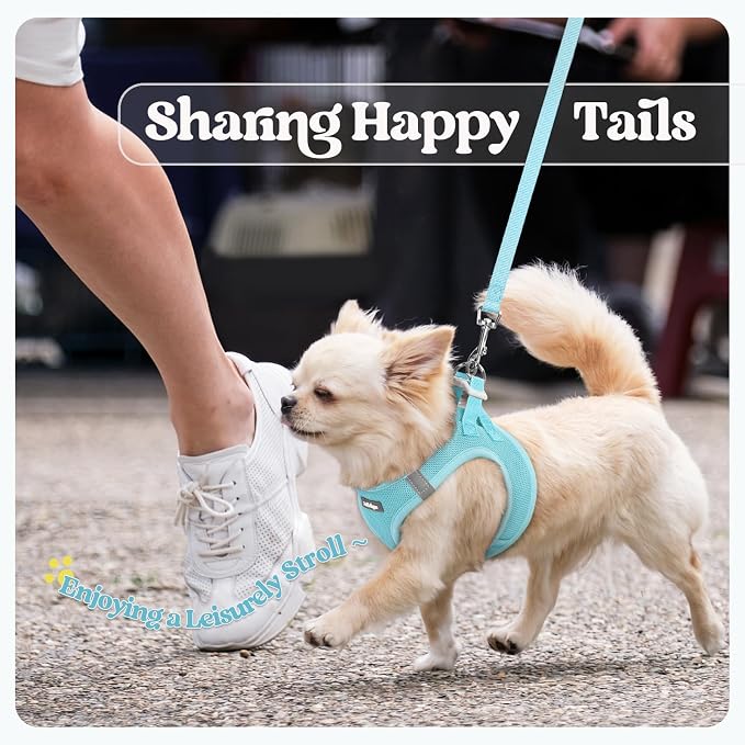 rabbitgoo Dog Harness Small Sized and Leash Set, Step-in Puppy Pet Vest | Light, Soft, Breathable Air Mesh, Easy on and Remove with Hook & Loop, Secure Reflective for Walking, Mint Blue XXXS
