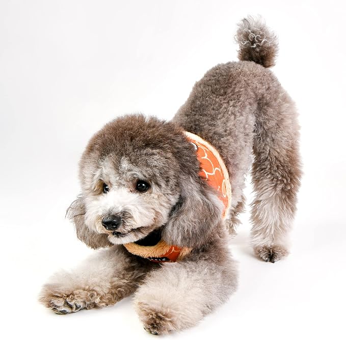 Puppia Florent Harness B - Orange - S