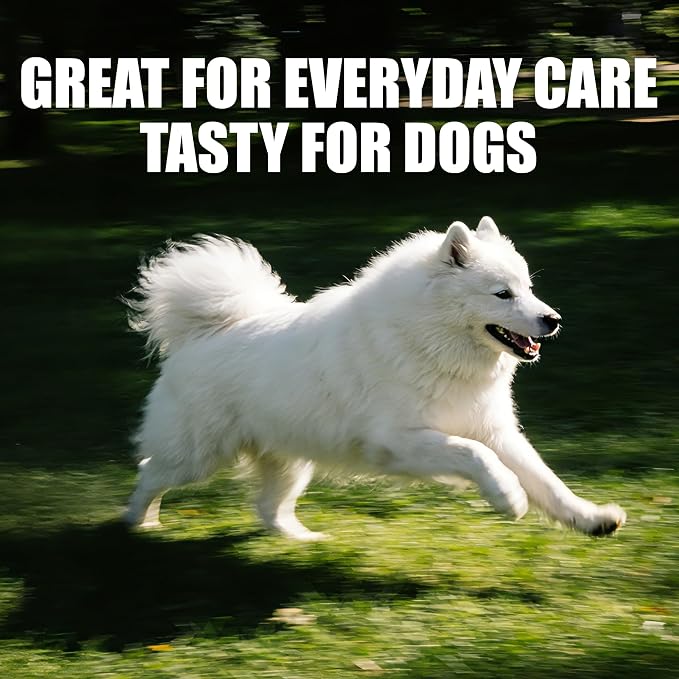 Just Try CoQ10 Heart Supplement Chews for Dogs, Taurine Chicken Flavor