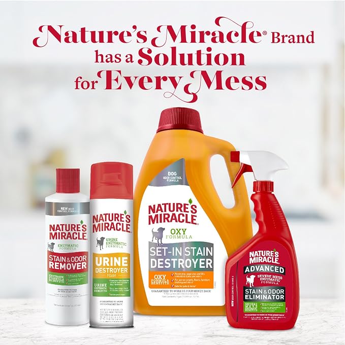 Nature's Miracle Pet Stain and Odor Remover Foam Aerosol Sprays, 17.5 Oz