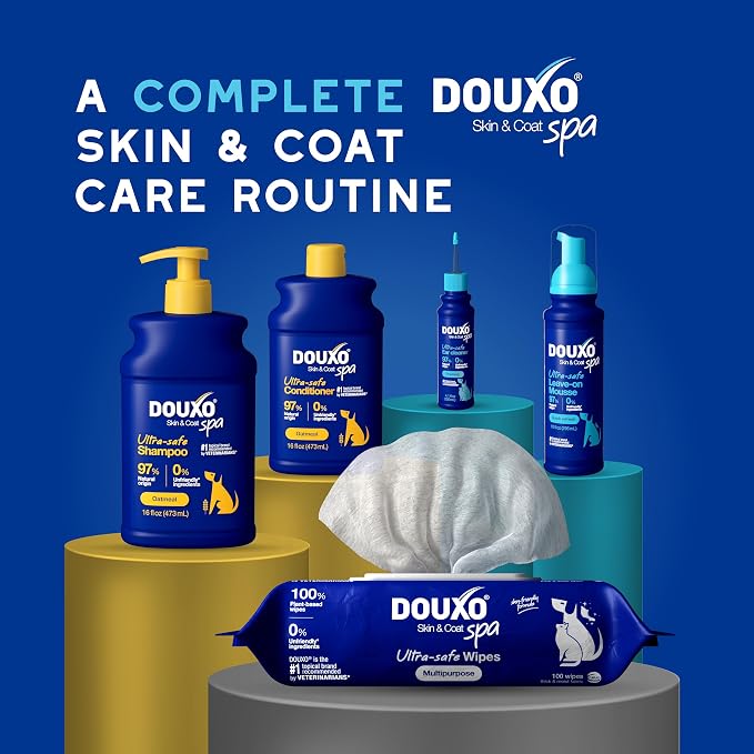 DOUXO SPA Waterless Dog Shampoo, 10 fl oz | Leave-On Mousse, Cleans and Refreshes, Leaves the Coat Soft, Radiant and Smelling Great, Ultra-Safe Formula