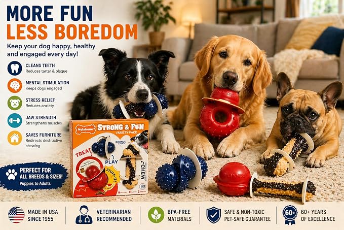 Nylabone Tough Dog Chew Variety Pack, 3 Count | Long-lasting nylon satisfies aggressive chewers, promotes dental health, reduces destructive behavior,vet-recommended