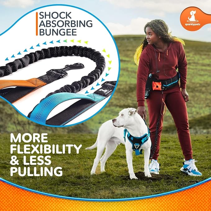 SparklyPets Double Bungee Waist 2 Dog Leash with Back Brace – Dual Dog Leash for Medium/Large Breeds – Running Belt Fanny Pack with Phone, Waste, Treat, and Bottle Pockets
