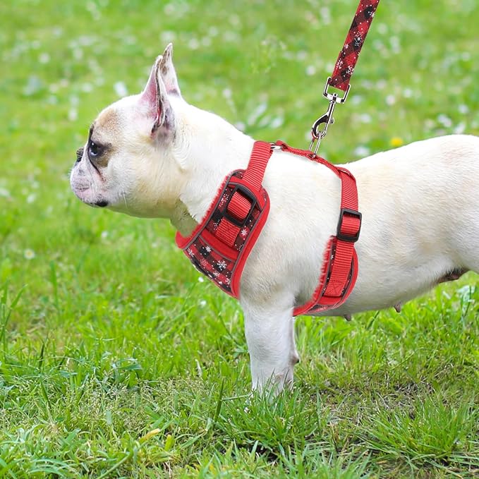 PUPTECK Christmas Small Dog Harness and Leash Set, No Pull Adjustable Puppy Cat Harness, Reflective Soft Mesh Pet Vest Small Sized, Checkered, M
