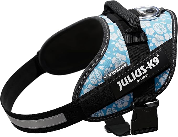 Julius-K9, IDC Powerharness, Dog Harness, Size: M/0, Aloha Sky Blue