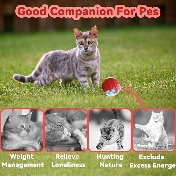 Speedy 2.0 Tail Interactive Cat Toys for Indoor Cats, Automatic Cat Toy with Elastic Mesh Tail, Electric Rolling Ball on Carpet, Chirping and Motion Activate Cat