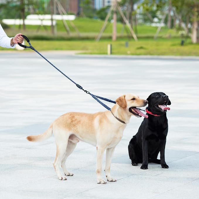 iYoShop Double Dog Leash, 360° Swivel, No Tangle, Large, True Navy | Dual Leash for Two Dogs, Split Leash, Shock-Absorbing Bungee, Padded Handle, Heavy-Duty Rope