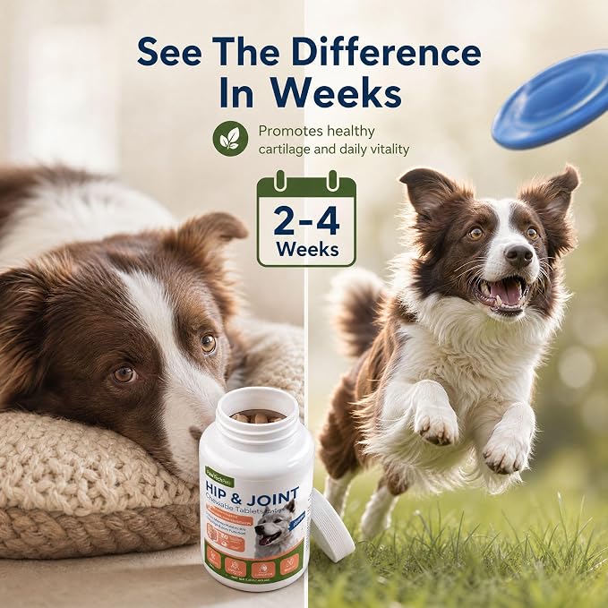 Glucosamine Hip & Joint Supplement for Dogs, Chewable Tabs, 90 Ct