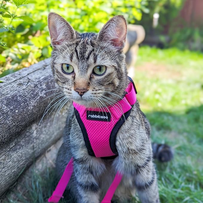 rabbitgoo Cat Harness and Leash Set, Escape Proof Vest, Rose Red | Soft Breathable Mesh, Easy Adjustable Fit, Snap Buckles, Sturdy Clip, Reflective Strips, for Average Cats Walks, S