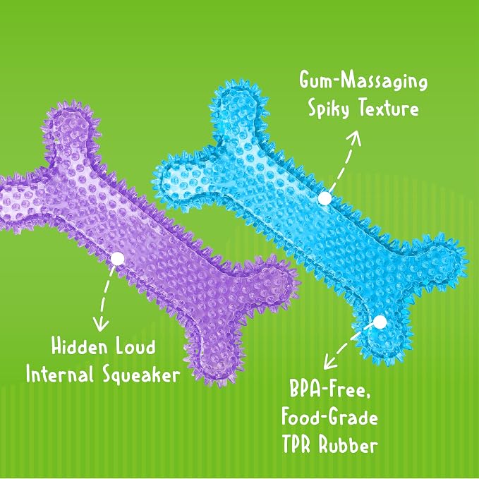 Gnawsome Dog Toys - Mega Squeaker Bone - Dental & Gum Wellness - Stimulating Fun - Hidden Squeaker - Durable for Heavy Chewers - 100% BPA-Free - Assorted Colors