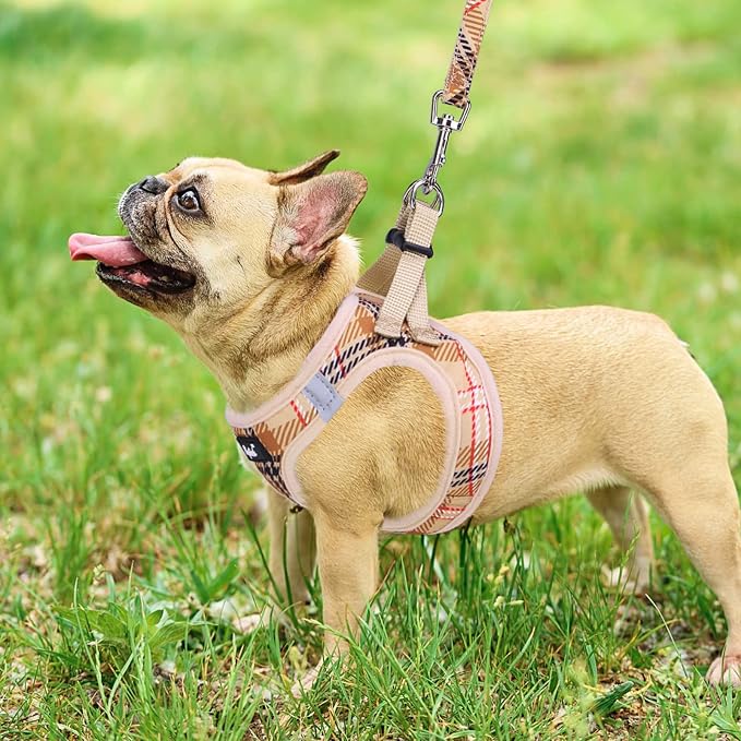 PUPTECK Dog Harness and Leash Set for Small Medium Dogs No Pull Step-in Soft Mesh Puppy Cat Vest Harnesses Reflective at Night, Plaid Pattern Beige L