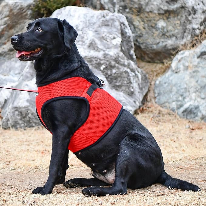 PUPPIA International Puppia Harness Soft B Vest RED XSmall