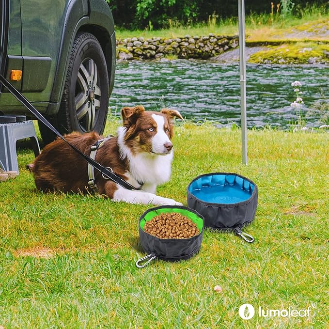 LumoLeaf Collapsible Dog Travel Bowl, 2 Pack, 68oz/80oz (8+10 Cups)