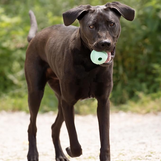 Chew King by Mammoth Dental Dog Toy Collection, Fetch Ball Clinically Proven to Remove Plaque, 2.5" Dental Ball (Pack of 2)
