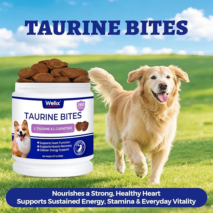Wellix 25% Taurine for Dogs, with High-Strength CoQ10, L-Carnitine - 9.17oz | 500mg Taurine + 200 mg L-Carnitine | Healthy Heart Supplements for Heart Muscle Function & Cardiovascular Health
