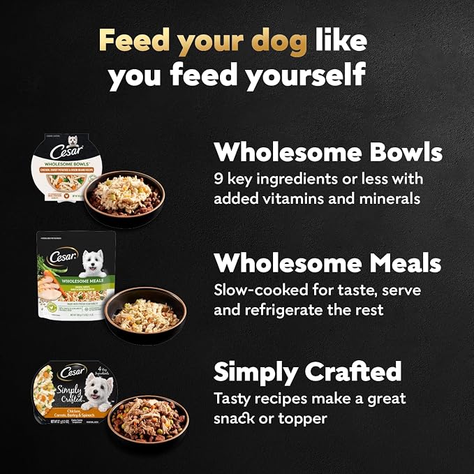 Cesar Wholesome Bowls Adult Wet Dog Food,Chicken,Recipe,Wet Food for Dogs,3 Oz. Bowls,10 Count (Pack of 2)