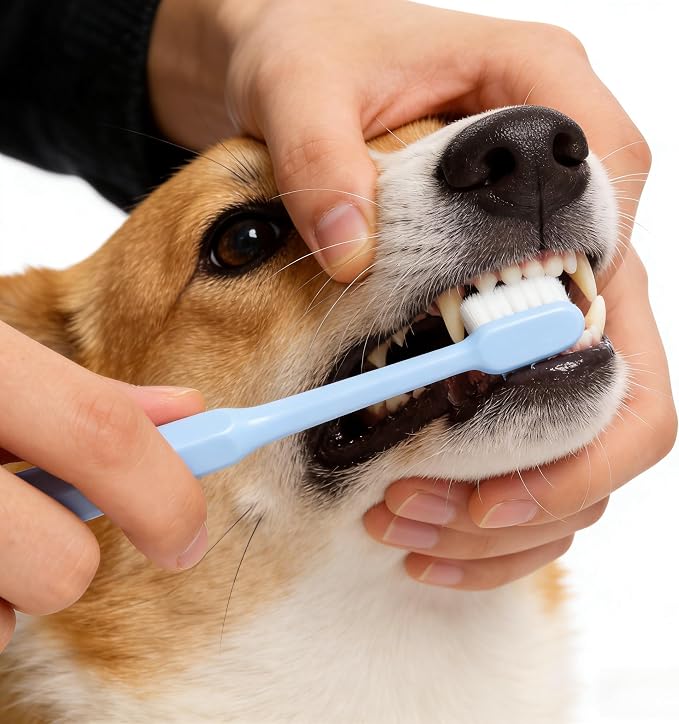 Pet Toothbrush Set, Suitable for Cats and Dogs, Includes one 360-degree no-Dead-Angle Toothbrush and one Ultra-Soft Bristle Toothbrush.