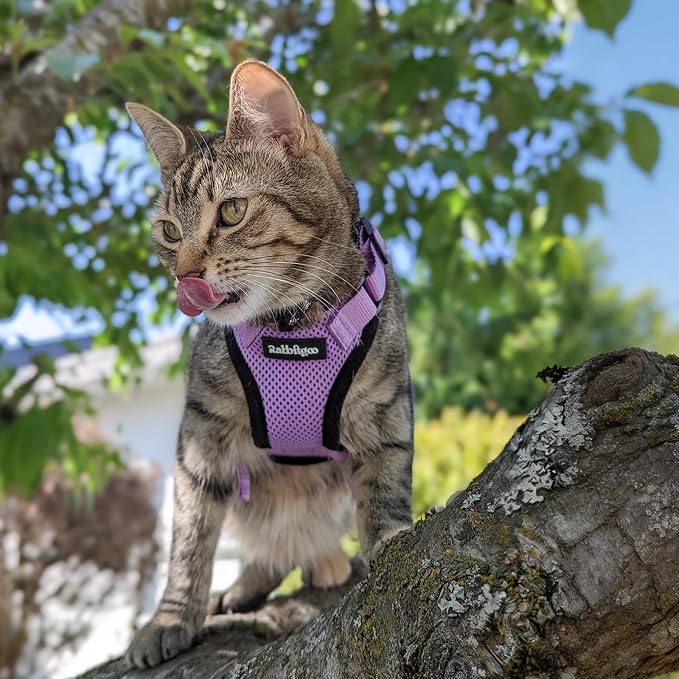rabbitgoo Cat Harness and Leash Set, Escape Proof Vest, Light Purple | Soft Breathable Mesh, Easy Adjustable Fit, Snap Buckles, Sturdy Clip, Reflective Strips, for Medium to Large Cats Walks, M