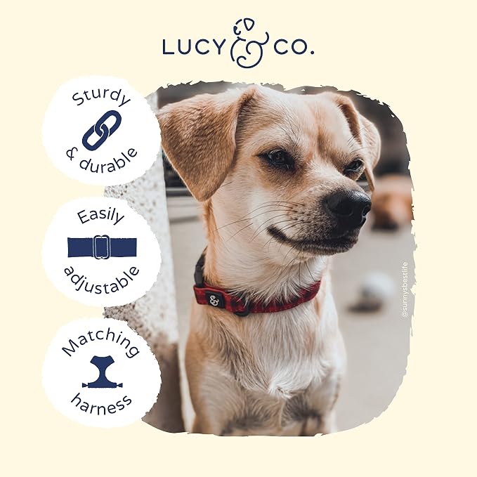 Lucy & Co., Simply Splendid Dog Leash Size Small Blue 8.58 Inch