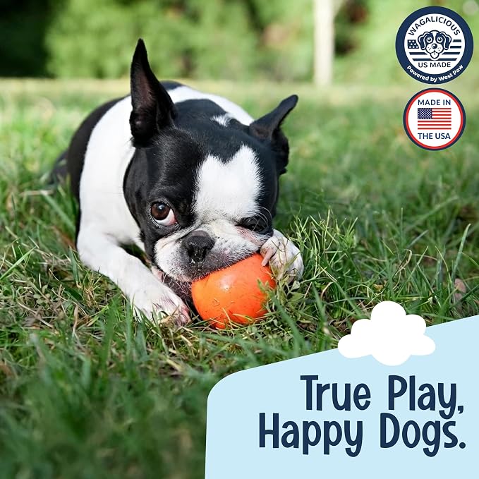 RuffRoller Fetch Toy, Floating Dog Ball, Small, Nectar