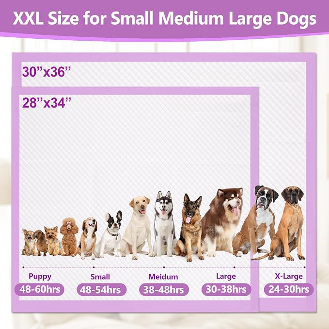 Gimars XL 6-Layer Ultra Absorbent 1200ml 48-Hour Leak-Proof Dog Pee Pads, Quick Dry Extra Large Puppy Pads for Puppy Training, Senior & Incontinent Dogs, Cats, Overnight Use, 30"x36", 50 Count