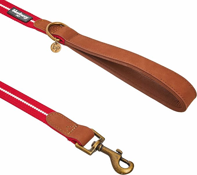 Blueberry Pet Polyester Fabric Webbing and Soft Genuine Leather Dog Leash with Soft & Comfortable Handle, 4 ft x 3/4", Red and White, Leashes for Dogs
