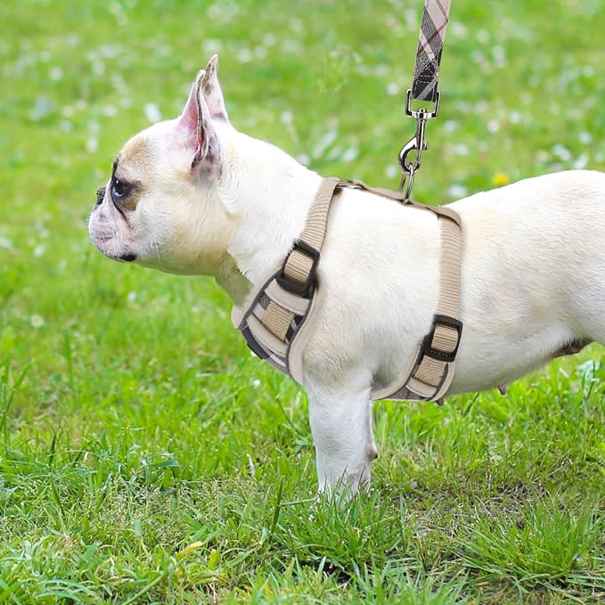 PUPTECK Small Dog Harness and Leash Set, No Pull Adjustable Puppy Cat Harness, Reflective Soft Mesh Pet Vest Small Sized, Beige, S